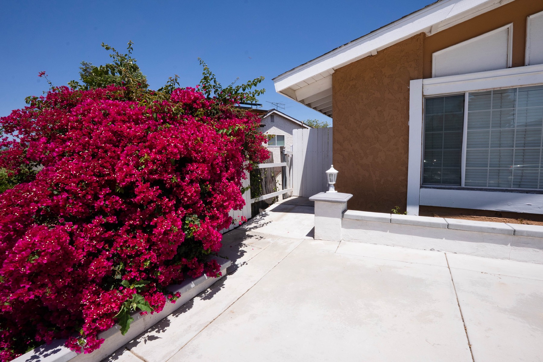 Bougainvillea in bloom at the Vibrant Life Home Care home — a detail reflecting the care and attention given to every corner of the property